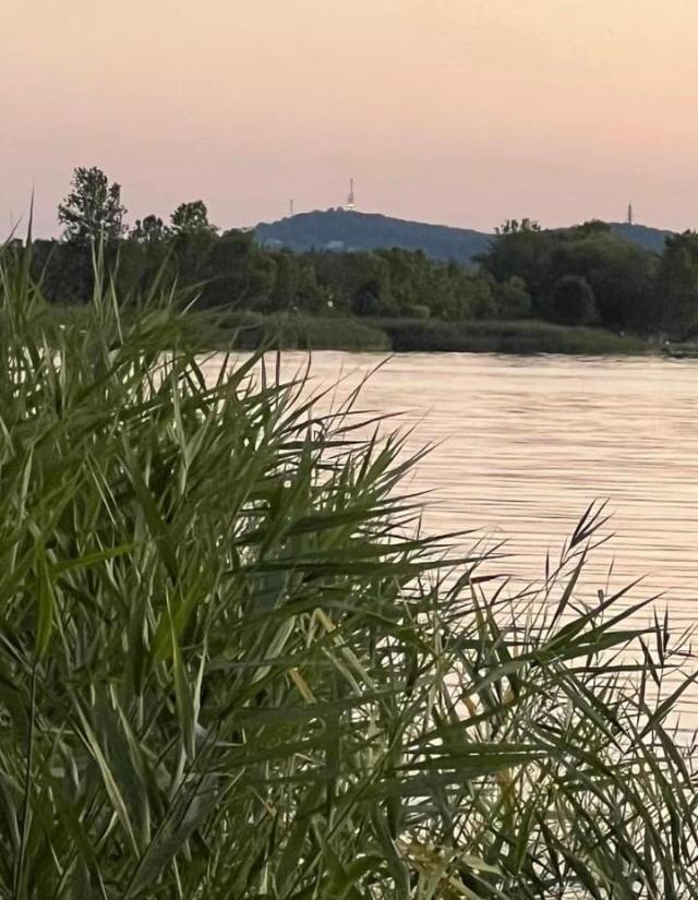 BalatonboglárRozsa Nyaralohaz别墅 外观 照片
